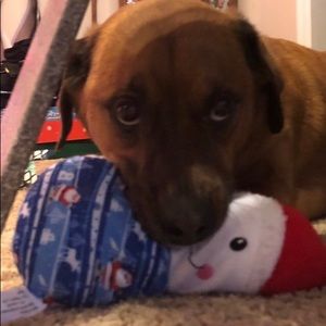 Meet your Posher, 💗jenna